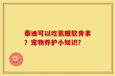 泰迪可以吃氨糖软骨素？宠物养护小知识？