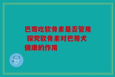 巴哥吃软骨素是否管用 探究软骨素对巴哥犬健康的作用