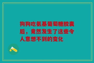 狗狗吃氨基葡萄糖胶囊后，竟然发生了这些令人意想不到的变化