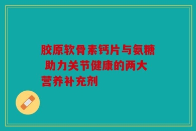 胶原软骨素钙片与氨糖 助力关节健康的两大营养补充剂