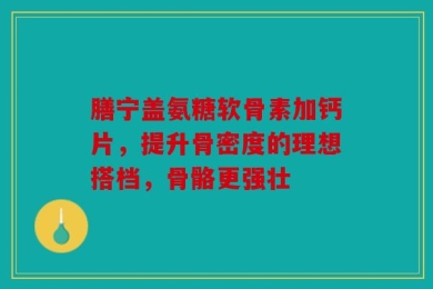 膳宁盖氨糖软骨素加钙片，提升骨密度的理想搭档，骨骼更强壮