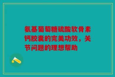 氨基葡萄糖硫酸软骨素钙胶囊的完美功效，关节问题的理想帮助