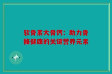 软骨素大骨钙：助力骨骼健康的关键营养元素