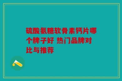 硫酸氨糖软骨素钙片哪个牌子好 热门品牌对比与推荐