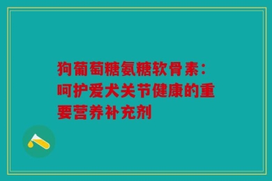 狗葡萄糖氨糖软骨素：呵护爱犬关节健康的重要营养补充剂