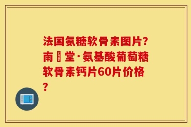 法国氨糖软骨素图片？南雲堂·氨基酸葡萄糖软骨素钙片60片价格？