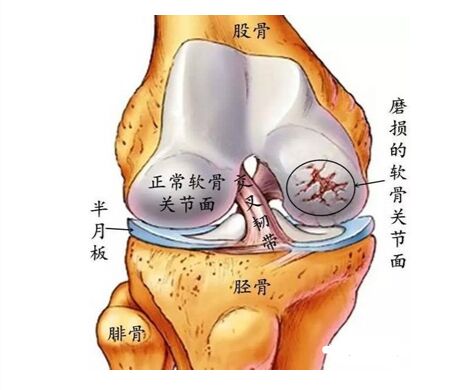 QQ图片20210125204928.jpg