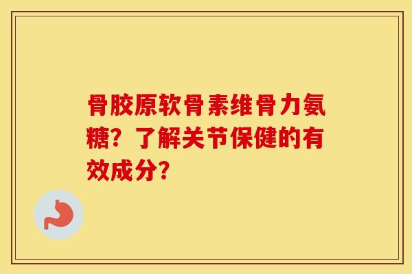 骨胶原软骨素维骨力氨糖？了解关节保健的有效成分？