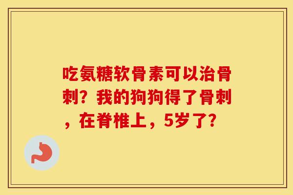 吃氨糖软骨素可以？我的狗狗得了，在脊椎上，5岁了？