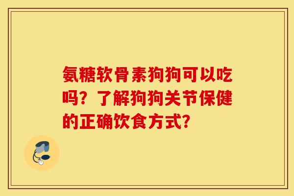 氨糖软骨素狗狗可以吃吗？了解狗狗关节保健的正确饮食方式？