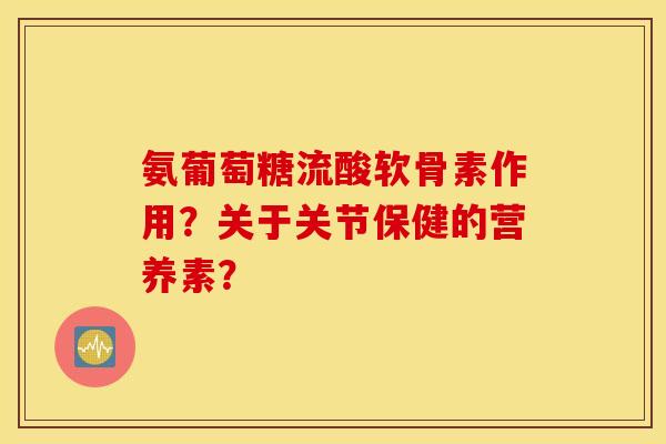 氨葡萄糖流酸软骨素作用？关于关节保健的营养素？