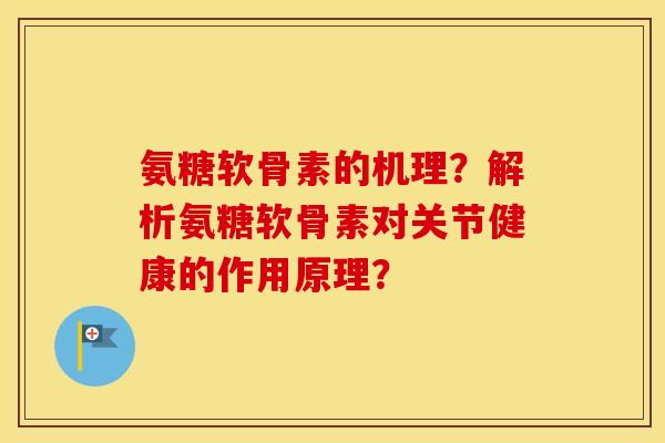 氨糖软骨素的机理？解析氨糖软骨素对关节健康的作用原理？