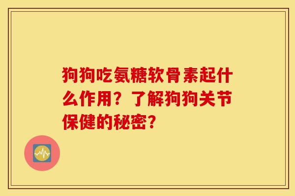 狗狗吃氨糖软骨素起什么作用？了解狗狗关节保健的秘密？