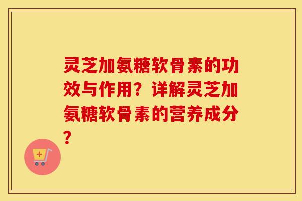 灵芝加氨糖软骨素的功效与作用？详解灵芝加氨糖软骨素的营养成分？