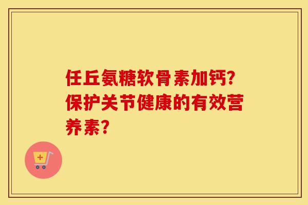 任丘氨糖软骨素加钙？保护关节健康的有效营养素？