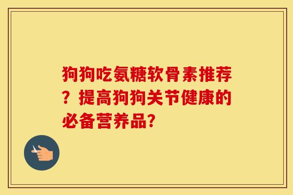 狗狗吃氨糖软骨素推荐？提高狗狗关节健康的必备营养品？