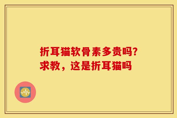折耳猫软骨素多贵吗？求教，这是折耳猫吗