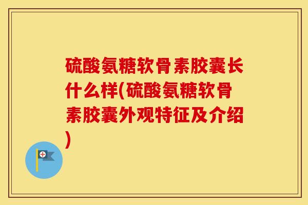 硫酸氨糖软骨素胶囊长什么样(硫酸氨糖软骨素胶囊外观特征及介绍)