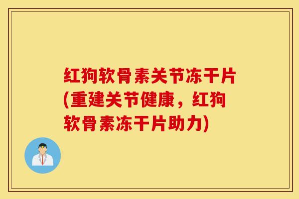红狗软骨素关节冻干片(重建关节健康，红狗软骨素冻干片助力)