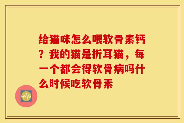 给猫咪怎么喂软骨素钙？我的猫是折耳猫，每一个都会得软骨病吗什么时候吃软骨素