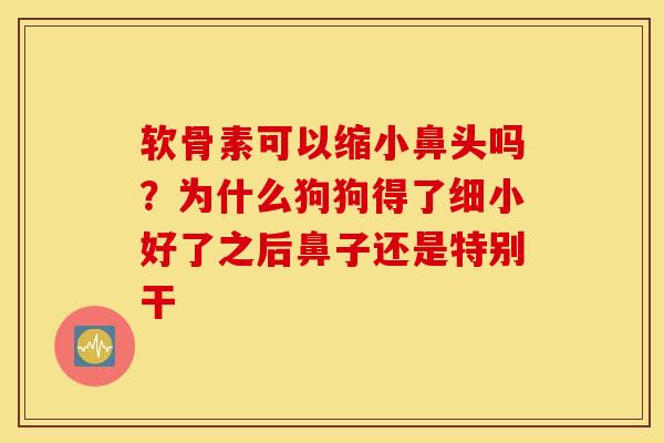 软骨素可以缩小鼻头吗？为什么狗狗得了细小好了之后鼻子还是特别干