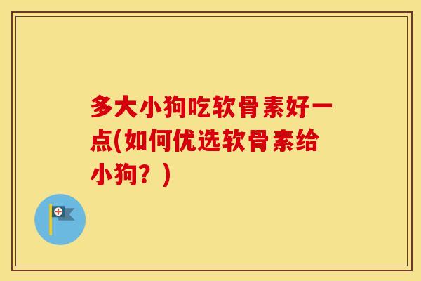 多大小狗吃软骨素好一点(如何优选软骨素给小狗？)