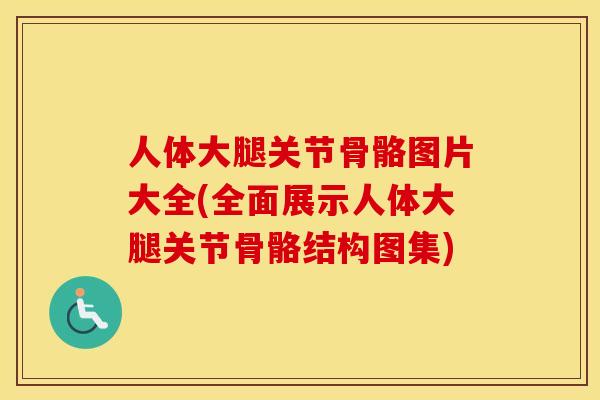 人体大腿关节骨骼图片大全(全面展示人体大腿关节骨骼结构图集)