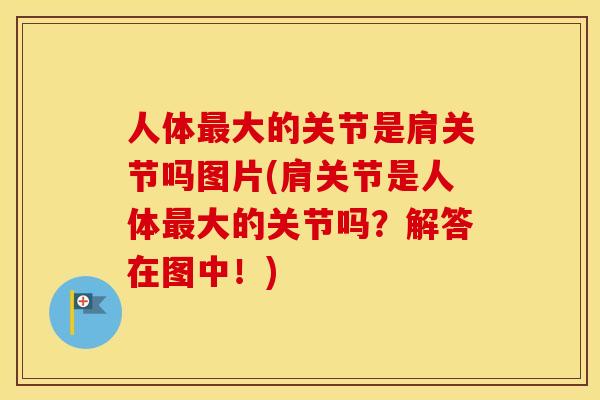 人体最大的关节是肩关节吗图片(肩关节是人体最大的关节吗？解答在图中！)