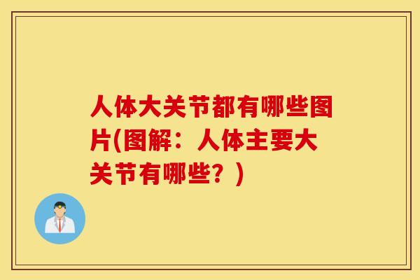 人体大关节都有哪些图片(图解：人体主要大关节有哪些？)