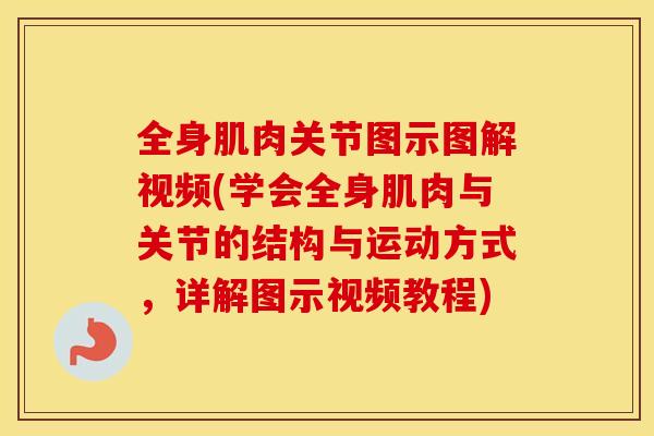 全身肌肉关节图示图解视频(学会全身肌肉与关节的结构与运动方式，详解图示视频教程)