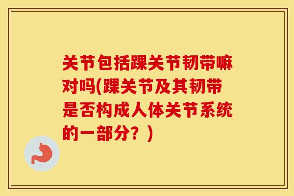 关节包括踝关节韧带嘛对吗(踝关节及其韧带是否构成人体关节系统的一部分？)