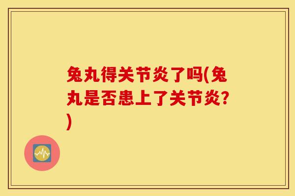 兔丸得关节炎了吗(兔丸是否患上了关节炎？)