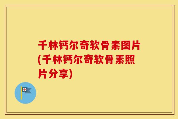 千林钙尔奇软骨素图片(千林钙尔奇软骨素照片分享)