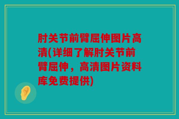 肘关节前臂屈伸图片高清(详细了解肘关节前臂屈伸，高清图片资料库免费提供)