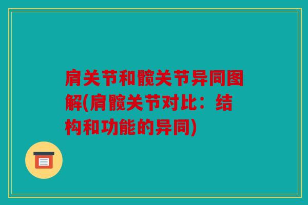 肩关节和髋关节异同图解(肩髋关节对比：结构和功能的异同)