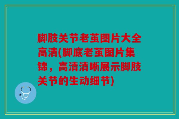 脚肢关节老茧图片大全高清(脚底老茧图片集锦，高清清晰展示脚肢关节的生动细节)