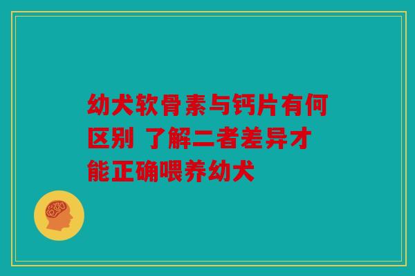 幼犬软骨素与钙片有何区别 了解二者差异才能正确喂养幼犬