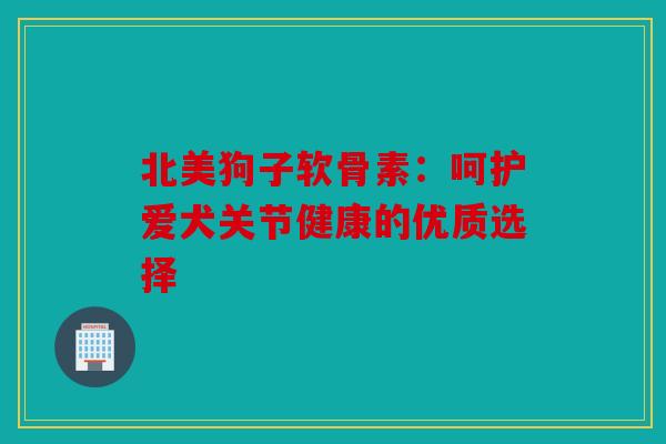 北美狗子软骨素：呵护爱犬关节健康的优质选择