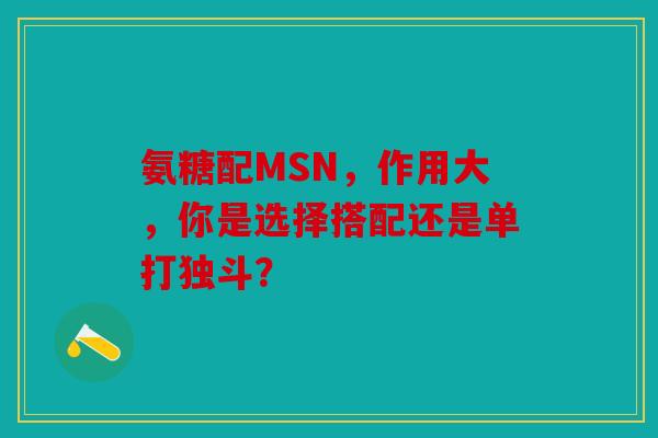氨糖配MSN，作用大，你是选择搭配还是单打独斗？