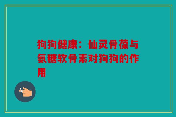 狗狗健康：仙灵骨葆与氨糖软骨素对狗狗的作用