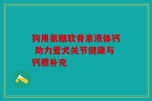 狗用氨糖软骨素液体钙 助力爱犬关节健康与钙质补充