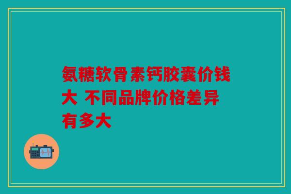 氨糖软骨素钙胶囊价钱大 不同品牌价格差异有多大