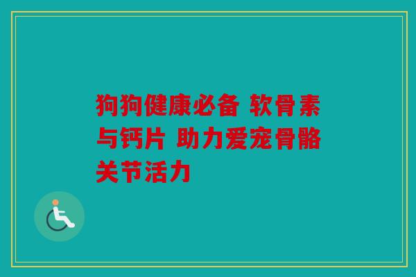 狗狗健康必备 软骨素与钙片 助力爱宠骨骼关节活力
