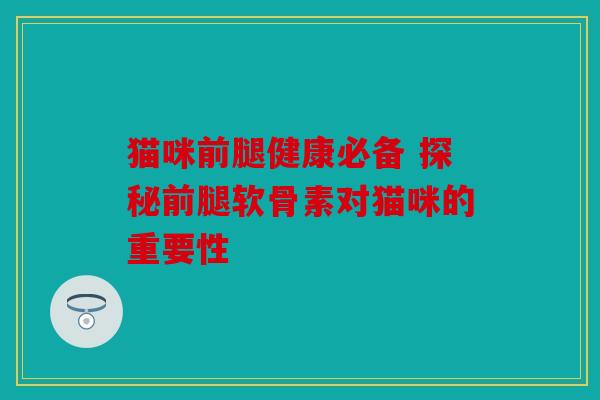 猫咪前腿健康必备 探秘前腿软骨素对猫咪的重要性