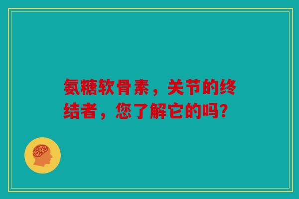 氨糖软骨素，关节的终结者，您了解它的吗？