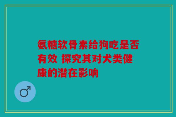 氨糖软骨素给狗吃是否有效 探究其对犬类健康的潜在影响