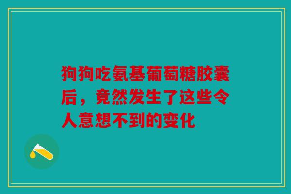 狗狗吃氨基葡萄糖胶囊后，竟然发生了这些令人意想不到的变化