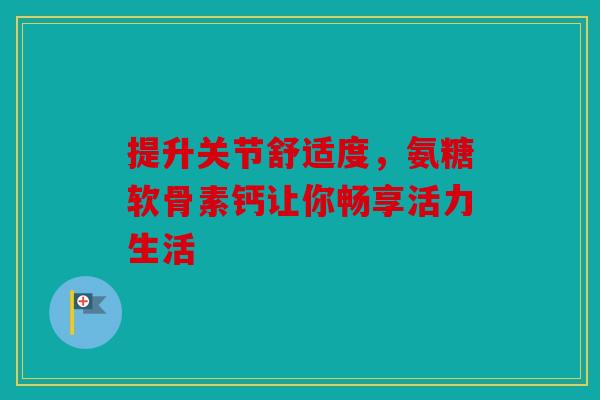 提升关节舒适度，氨糖软骨素钙让你畅享活力生活
