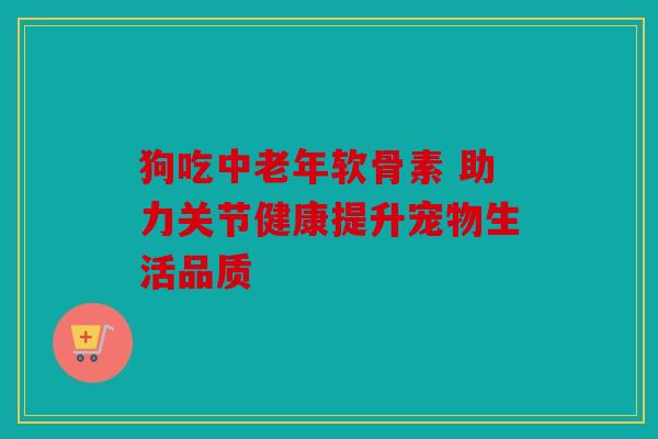 狗吃中老年软骨素 助力关节健康提升宠物生活品质