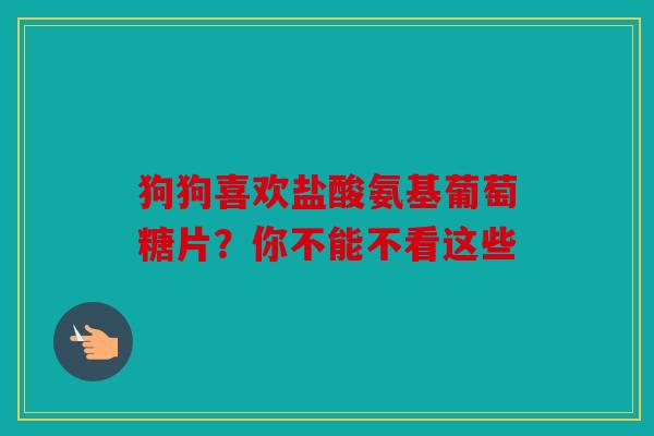 狗狗喜欢盐酸氨基葡萄糖片？你不能不看这些